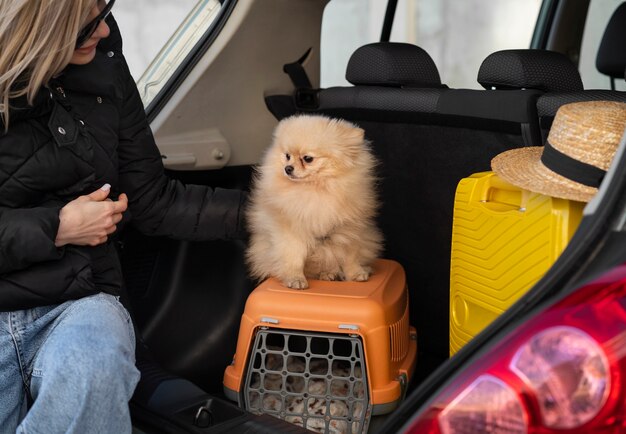 How to Keep Your Pet Safe & Comfortable While Traveling