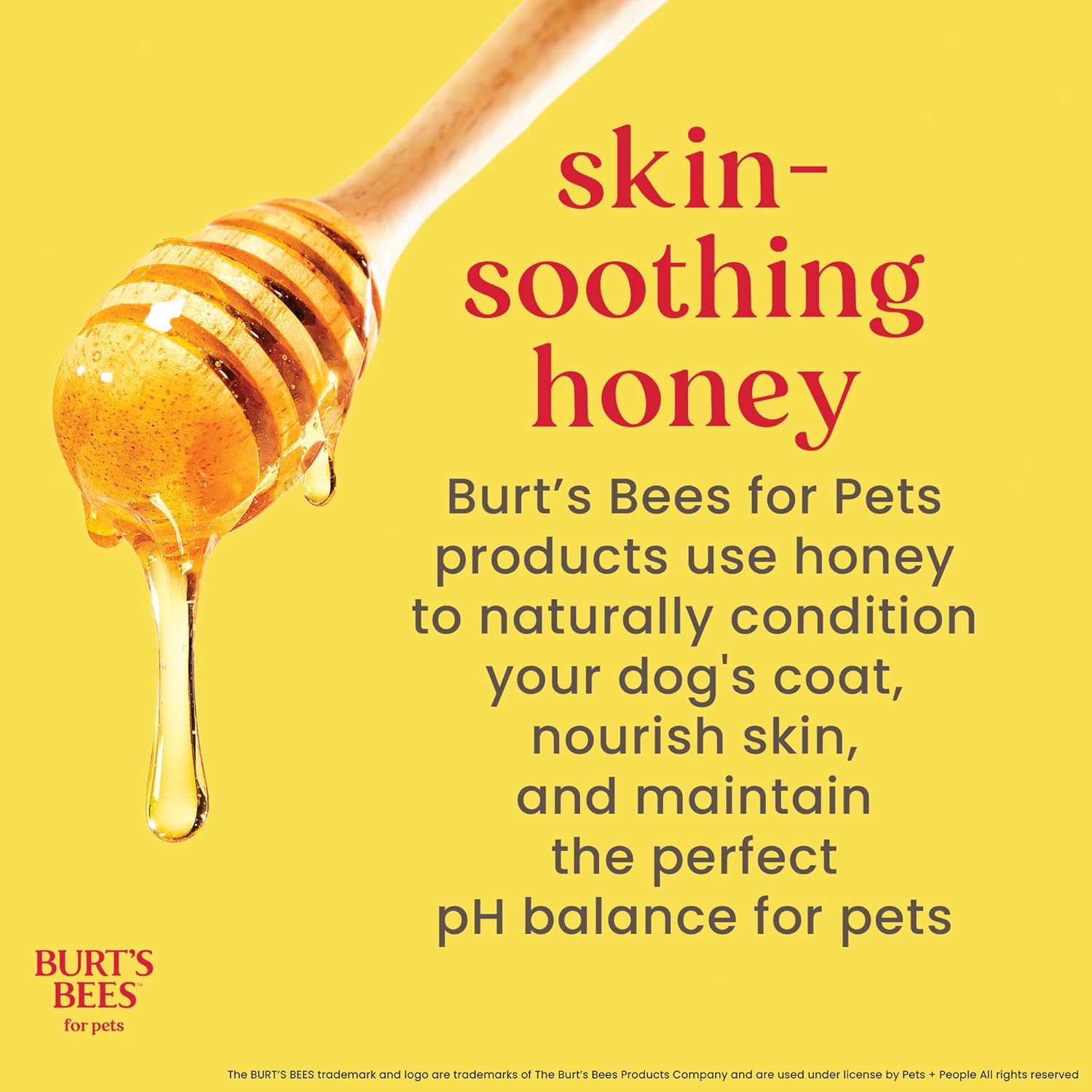 Honey Multipurpose Dog Grooming Wipes, Gentle Hypoallergenic Spot Cleaning Sheets, Ph Balanced Natural Origin Formula for Paws, Face and Butt, 50 Count