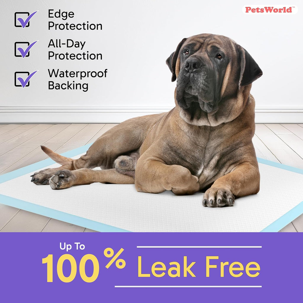 2XL Dog Pee Pads 28"X44" 50 Count – Extra Large Pet Pee Pads for Dogs & Puppies, Heavy Duty Leak-Proof Dog Training Pads, Super Absorbent Quick-Dry Potty Pads with Odor Control