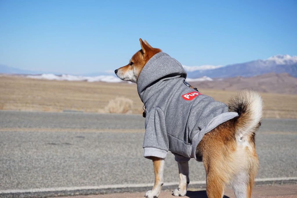 Pup Dog Hoodie, Dog Sweater, Fashion Dog Clothes, Pet Clothing Cotton Cat Hoodies Stylish Streetwear Sweatshirt Gray Tracksuits Outfit for Dog Cat Puppy Small Medium Large (L)